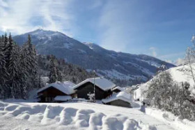 Apartmenthaus Sch&ouml;nwies