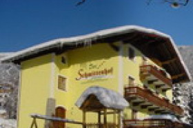 Apart-Hotel Garni Schmittenhof